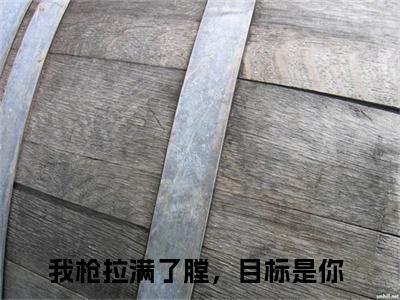 沈安念傅铭晨小说全文免费阅读正版 我枪拉满了膛，目标是你免费阅读无弹窗