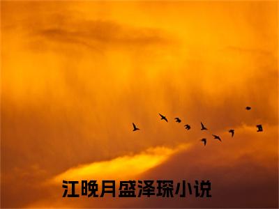 江晚月盛泽琛最新章节（江晚月盛泽琛）全文免费阅读无弹窗大结局_江晚月盛泽琛免费阅读（江晚月盛泽琛）