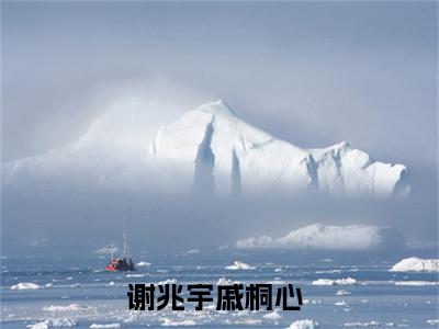 谢兆宇戚桐心小说(谢兆宇戚桐心)免费阅读无弹窗,小说名字是：谢兆宇戚桐心的小说在线阅读无删减
