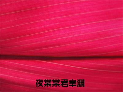 夜棠棠君聿渊(夜棠棠君聿渊)全文免费阅读无弹窗_(夜棠棠君聿渊)夜棠棠君聿渊最新章节列表笔趣阁（夜棠棠君聿渊）