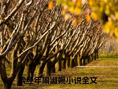 梁经年周淑婉小说精彩章节-主角为梁经年周淑婉在线阅读