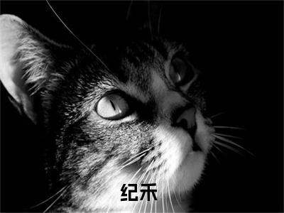 直播算命：开局赞助爷爷地府创业（纪禾）最新免费小说-纪禾（直播算命：开局赞助爷爷地府创业）全文全章节免费阅读