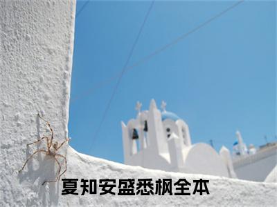 夏知安盛悉枫(夏知安盛悉枫小说)全文免费阅读无弹窗大结局-夏知安盛悉枫小说最新章节列表_笔趣阁