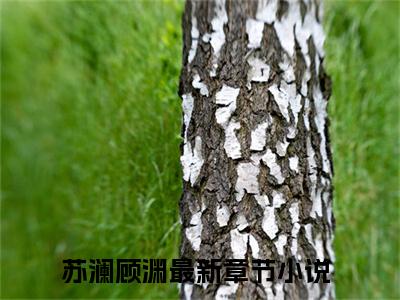 苏澜顾渊全文免费阅读无弹窗大结局_（苏澜顾渊）苏澜顾渊最新章节列表_笔趣阁（苏澜顾渊）