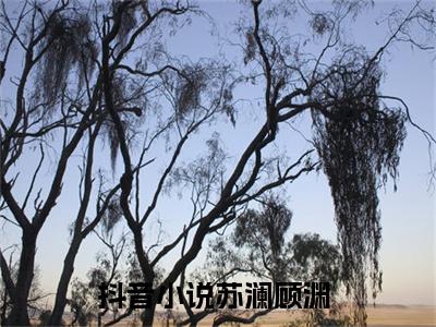 苏澜顾渊（苏澜顾渊）最新章节阅读-（苏澜顾渊）免费阅读大结局无弹窗