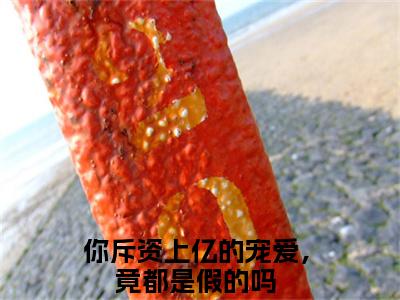 你斥资上亿的宠爱，竟都是假的吗（顾薇薇墨时谦）全文免费阅读无弹窗大结局_你斥资上亿的宠爱，竟都是假的吗（顾薇薇墨时谦）小说全文免费阅读最新章节列表_笔趣阁