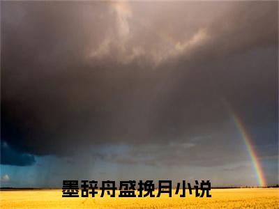 甜诱满分！冷冽大佬狂撩心中小月亮小说（墨辞舟盛挽月）全文免费阅读-甜诱满分！冷冽大佬狂撩心中小月亮精彩章节在线阅读
