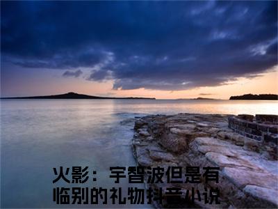 月夜（火影：宇智波但是有临别的礼物)全文免费阅读无弹窗大结局_月夜全文完整无删减版免费阅读（火影：宇智波但是有临别的礼物）