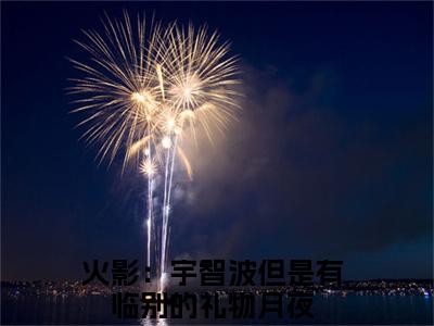 月夜（火影：宇智波但是有临别的礼物）小说全文免费阅读-月夜免费阅读完整版