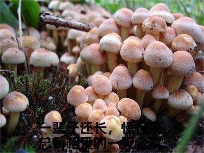 一辈子还长，慢慢来总有相爱的一天(付一江止)全文免费阅读_一辈子还长，慢慢来总有相爱的一天（付一江止在线小说免费阅读）全文阅读