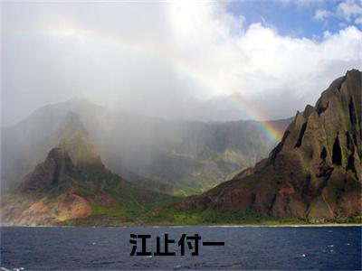 江止付一小说一辈子还长，慢慢来总有相爱的一天大结局阅读-新上热文小说江止付一（一辈子还长，慢慢来总有相爱的一天）讲的是什么