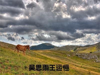 吴思雨王运恒，吴思雨王运恒王在线无弹窗阅读