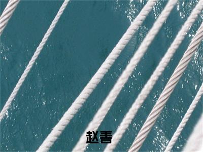 赵善在线阅读（大乾暴君）全文免费阅读无弹窗大结局_