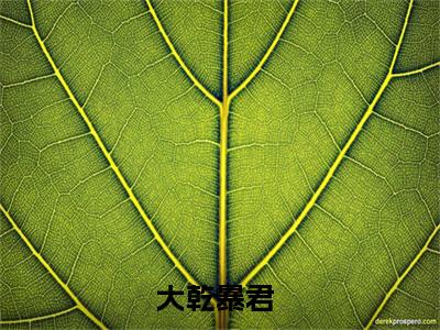 赵善（大乾暴君）精彩小说-大乾暴君全章节免费阅读