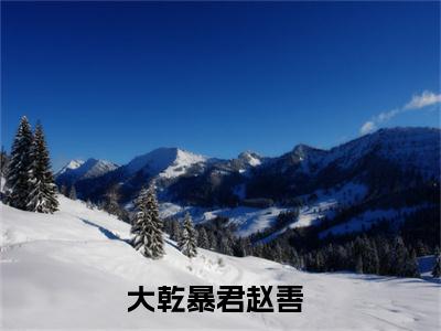 大乾暴君小说全文-大乾暴君（赵善）最新章节免费阅读