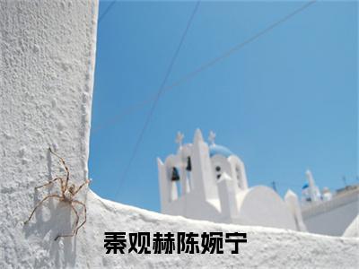 秦观赫陈婉宁是哪部小说的主角-（秦观赫陈婉宁）全文无弹窗完整版阅读
