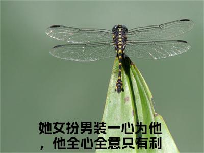 宋观锦殷景怀(她女扮男装一心为他，他全心全意只有利用)全文免费阅读无弹窗大结局_（她女扮男装一心为他，他全心全意只有利用）的小说（宋观锦殷景怀）最新章节列表