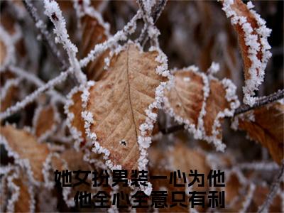 小说《她女扮男装一心为他，他全心全意只有利用》全文免费阅读无弹窗-殷景怀宋观锦小说全文在线赏析_笔趣阁