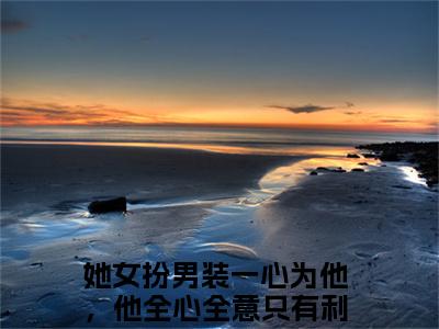 她女扮男装一心为他，他全心全意只有利用(殷景怀宋观锦)全文免费阅读大结局_(她女扮男装一心为他，他全心全意只有利用)殷景怀宋观锦免费在线阅读无删减_笔趣阁