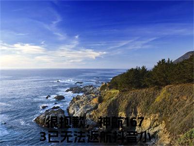 很抱歉，神航1673已无法返航最后结局如何，许南妤傅寒峥强推全文阅读无弹窗