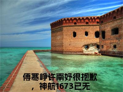 很抱歉，神航1673已无法返航无广告免费阅读-小说傅寒峥许南妤最后结局如何