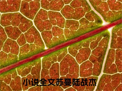 苏蔓陆战杰小说最新章节阅读-小说（苏蔓陆战杰）已完结小说精彩大结局