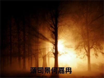 她要争的从来不是命运，而是他的心全本资源免费阅读结局无删节主角：薄司景何嘉冉小说全文阅读无弹窗