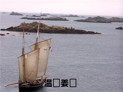 姜珣，我对你从来都是妥协（温湉姜珣）全文免费阅读无弹窗大结局_温湉姜珣小说免费最新章节列表_笔趣阁