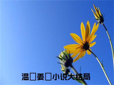 温湉姜珣全文免费阅读（姜珣，我对你从来都是妥协小说）全文免费阅读无弹窗大结局_（温湉姜珣全文免费阅读无弹窗）姜珣，我对你从来都是妥协小说最新章节列表_笔趣阁（温湉姜珣）
