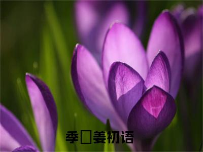 季澋姜初语全文免费大结局小说-季澋姜初语全文最新章节阅读