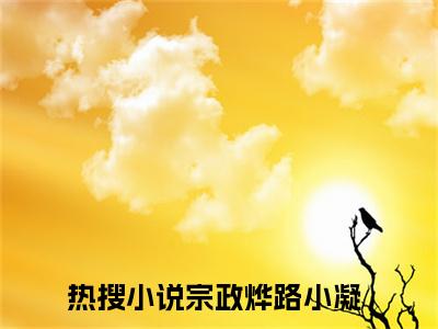 新婚夜，我走错了酒店包间（宗政烨路小凝）免费小说-宗政烨路小凝全文阅读目录