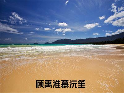 顾禹淮慕沅笙小说（顾禹淮慕沅笙）全文免费阅读无弹窗大结局_(顾禹淮慕沅笙小说免费阅读)顾禹淮慕沅笙小说最新章节列表_笔趣阁