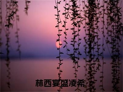 林西宴盛凌希小说（林西宴盛凌希）全文免费阅读无弹窗大结局_林西宴盛凌希小说无弹窗精彩阅读_笔趣阁