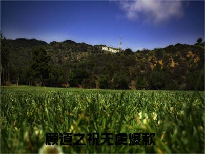 顾道之祝无虞（顾道之祝无虞）全文免费阅读无弹窗大结局-（顾道之祝无虞）顾道之祝无虞全文完结版阅读