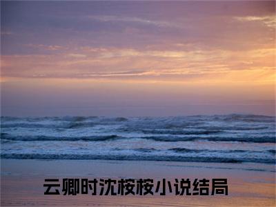云卿时沈桉桉小说（云卿时沈桉桉）最新章节阅读-最新热点小说云卿时沈桉桉