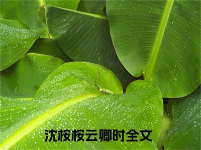沈桉桉云卿时今日更新小说去哪里看 沈桉桉云卿时在线阅读全文