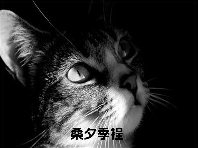 桑夕季裎的书名全文免费 桑夕季裎在线阅读小说免费阅读