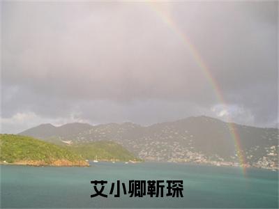 艾小卿靳琛（艾小卿靳琛）全文免费阅读无弹窗大结局_艾小卿靳琛小说免费最新章节列表_笔趣阁