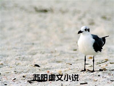 麒麟神相高赞小说（苏阳）完结阅读_麒麟神相全文完整版免费阅读最新章节列表