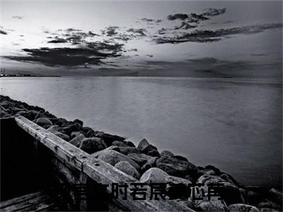 时若宸姜芯苒免费正版小说完整版阅读-时若宸姜芯苒最新章节在线阅读
