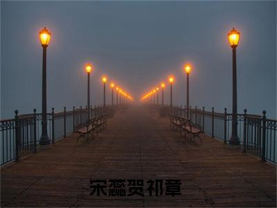 宋蕊贺祁章小说免费阅读 宋蕊贺祁章免费阅读无广告