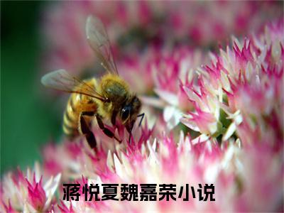 蒋悦夏魏嘉荣（蒋悦夏魏嘉荣）全文免费阅读无弹窗大结局_蒋悦夏魏嘉荣免费最新章节列表_笔趣阁（蒋悦夏魏嘉荣）