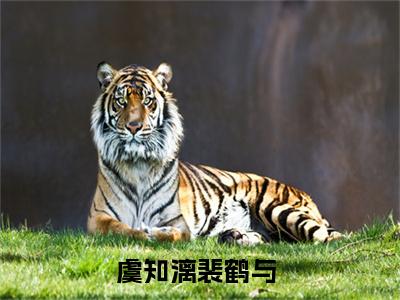 虞知漓裴鹤与小说（虞知漓裴鹤与）全文免费阅读大结局无删减_（虞知漓裴鹤与）虞知漓裴鹤与小说最新章节列表_笔趣阁（虞知漓裴鹤与）