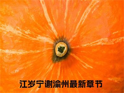江岁宁谢渝州（江岁宁谢渝州）全文免费阅读无弹窗大结局_（江岁宁谢渝州）江岁宁谢渝州全文最新章节列表_笔趣阁（江岁宁谢渝州）