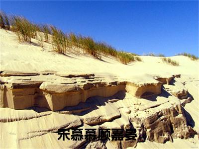 宋慕慕顾嘉晏(宋慕慕顾嘉晏)全文免费阅读无弹窗大结局_(宋慕慕顾嘉晏免费阅读全文大结局)最新章节列表_笔趣阁（宋慕慕顾嘉晏）