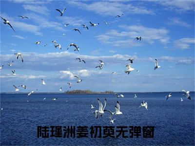 陆瑾洲姜初萸（陆瑾洲姜初萸）全文在线阅读无弹窗大结局_(陆瑾洲姜初萸免费阅读全文大结局)最新章节列表_笔趣阁（陆瑾洲姜初萸）