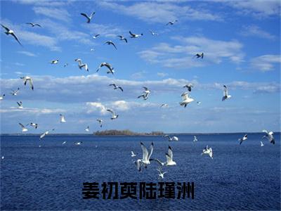 老书虫良心推荐《姜初萸陆瑾洲》姜初萸陆瑾洲小说精彩免费试读
