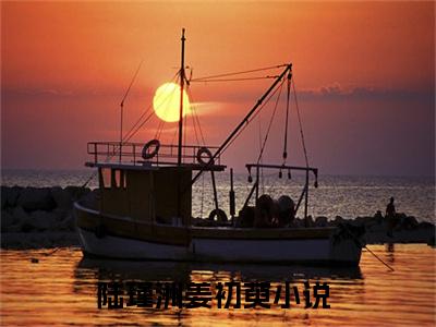 陆瑾洲姜初萸小说免费下载（陆瑾洲姜初萸完整全集已完结大结局小说）_陆瑾洲姜初萸免费阅读
