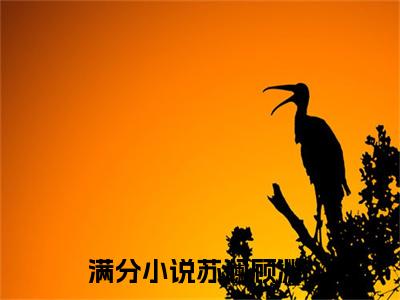 苏澜顾渊全文免费最后一章在线阅读 苏澜顾渊全文小说完整版
