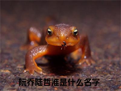 阮乔陆哲淮（阮乔陆哲淮）全文免费阅读无弹窗大结局_（阮乔陆哲淮）阮乔陆哲淮全文免费完结版阅读（阮乔陆哲淮）